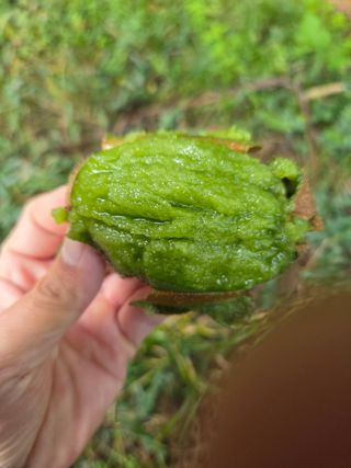 노고단님의 자유주제 · 자유게시판 작성글 사진