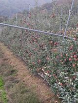 팜모닝 · 게시글 이미지