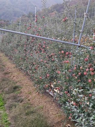 손기홍님의 작성글 사진