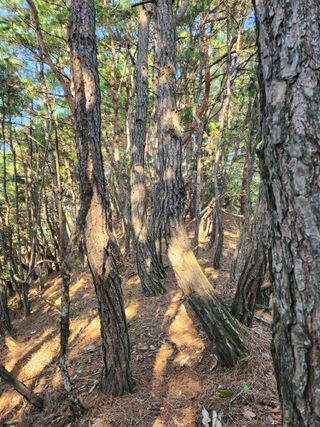 MSG0074님의 자유주제 · 자유게시판 작성글 사진