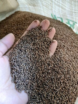 SARIFUDIN YASINTA MARYAMA님의 자유주제 · 자유게시판 작성글 사진