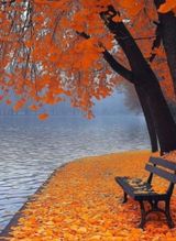 팜모닝 자유주제·자유게시판 게시글 이미지