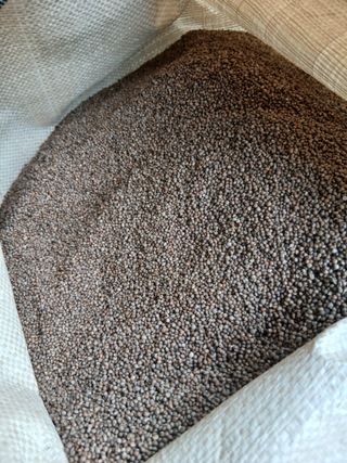 SARIFUDIN YASINTA MARYAMA님의 자유주제 · 자유게시판 작성글 사진