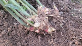 장석오님의 자유주제 · 자유게시판 작성글 사진