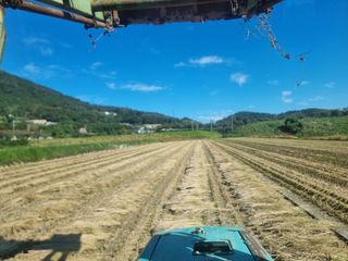 정영기대산축산농부♡님의 자유주제 · 자유게시판 작성글 사진