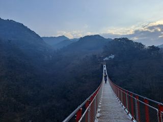 이정민님의 자유주제 · 자유게시판 작성글 사진