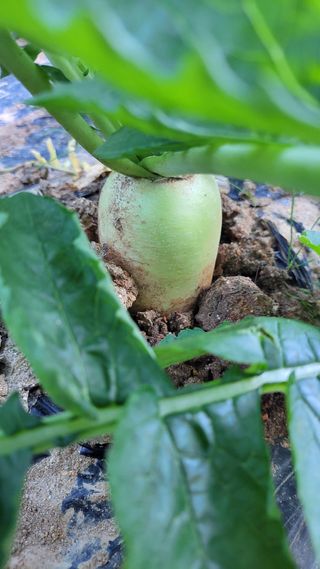 명장박세태님의 자유주제 · 자유게시판 작성글 사진