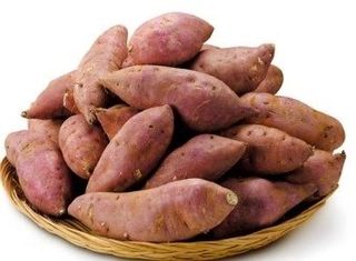 농촌이백억농원^^님의 작성글 사진