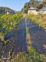 팜모닝 자유주제·건의해요 게시글 이미지