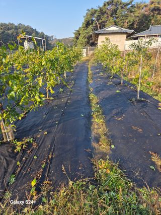 전홍열님의 자유주제 · 건의해요 작성글 사진