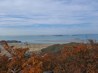 이정민님의 자유주제 · 자유게시판 작성글 사진