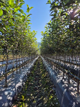 우리농원님의 자유주제 · 자유게시판 작성글 사진