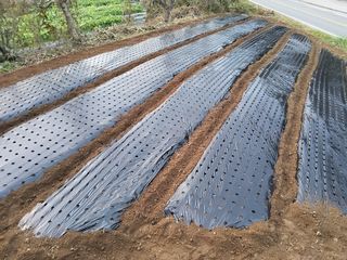 이연화님의 자유주제 · 자유게시판 작성글 사진