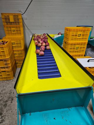 손기홍님의 작성글 사진