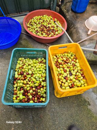 전홍열님의 자유주제 · 건의해요 작성글 사진