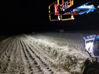 정영기대산축산농부♡님의 자유주제 · 자유게시판 작성글 사진