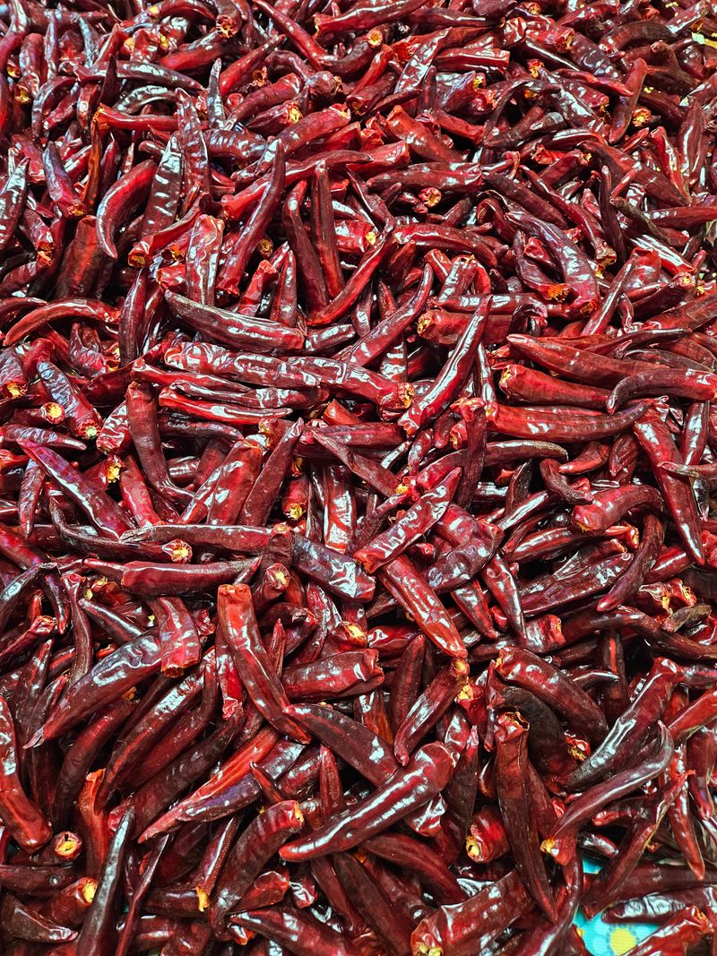 스마일님의 장터 판매 상품 [태양초고추가루] 첨부 사진