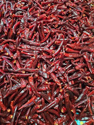 스마일님의 작성글 사진