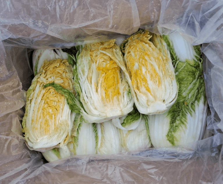 스피드번님의 장터 판매 상품 [강원도 평창 고랭지 절임배추] 첨부 사진