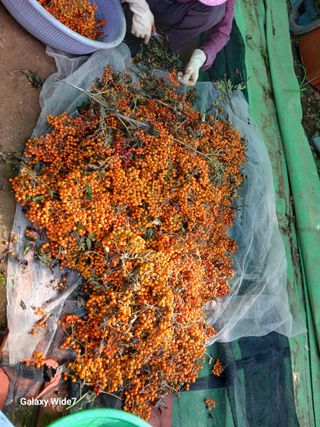 바위돌 심재성님의 작성글 사진