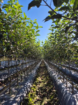 우리농원님의 자유주제 · 자유게시판 작성글 사진