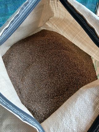 SARIFUDIN YASINTA MARYAMA님의 자유주제 · 자유게시판 작성글 사진