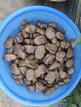 팜모닝 자유주제·자유게시판 게시글 이미지