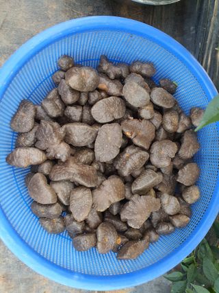 이용순님의 자유주제 · 자유게시판 작성글 사진