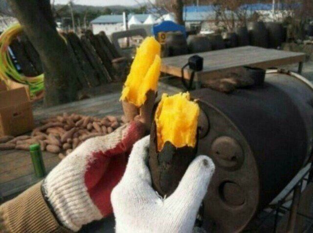 농촌이백억농원^^님의 장터 판매 상품 [안면도 호박고구마.꿀고구마] 첨부 사진