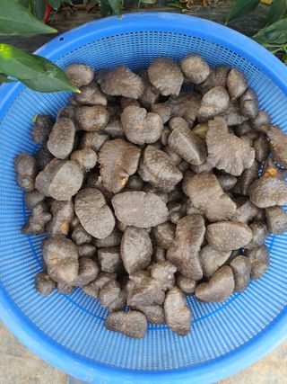 이용순님의 자유주제 · 자유게시판 작성글 사진