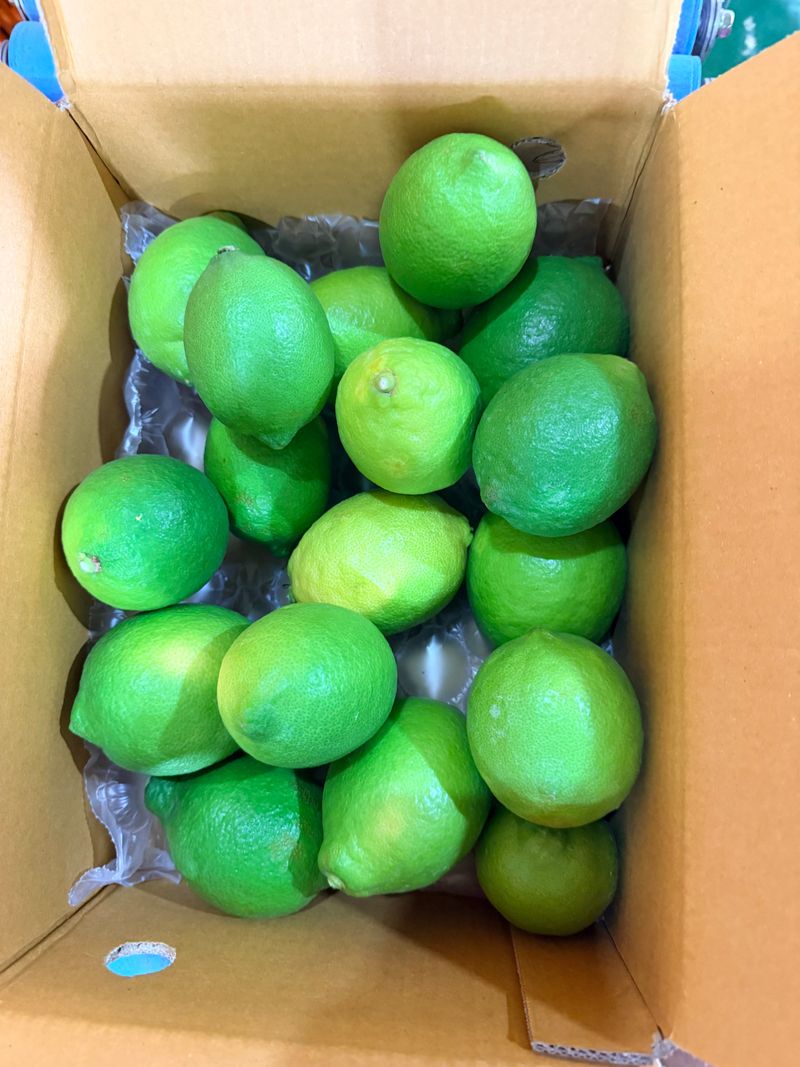 제주빅팜님의 장터 판매 상품 [제주산 청레몬] 첨부 사진