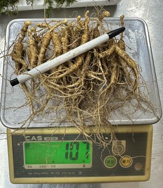 진상빈님의 작성글 사진