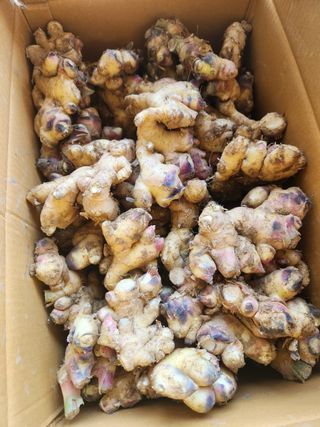 해풍님의 작성글 사진