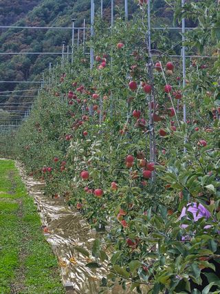 손기홍님의 작성글 사진
