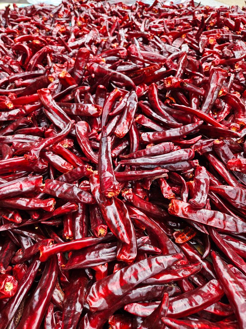 스마일님의 장터 판매 상품 [태양초고추가루] 첨부 사진