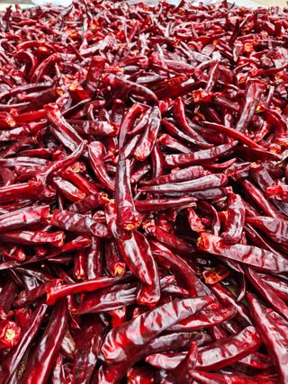 스마일님의 작성글 사진