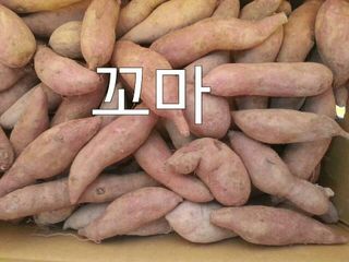 농촌이백억농원^^님의 작성글 사진