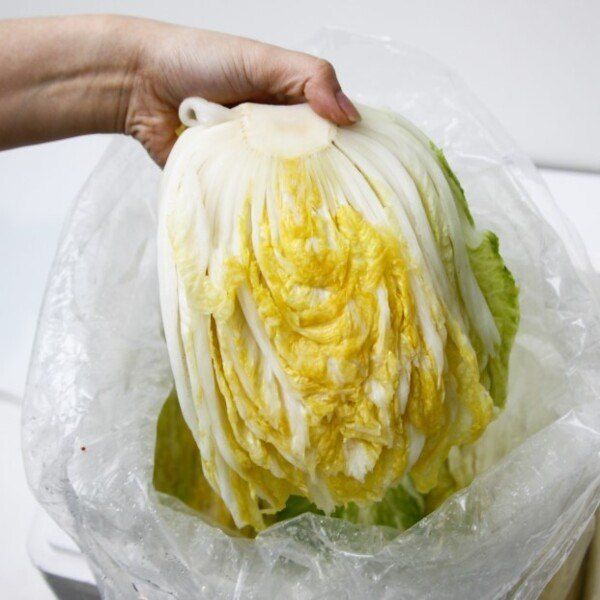 장터 상품 [강원도 평창 고랭지 절임배추] 썸네일