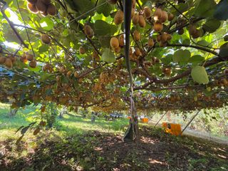 노고단님의 자유주제 · 자유게시판 작성글 사진