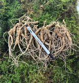 팜모닝 · 게시글 이미지