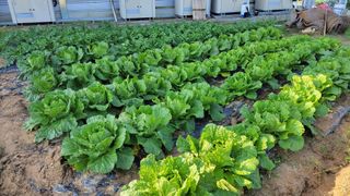 명장박세태님의 자유주제 · 자유게시판 작성글 사진