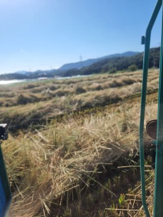 정영기대산축산농부♡님의 자유주제 · 자유게시판 작성글 사진