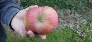 강동민님의 자유주제 · 자유게시판 작성글 사진