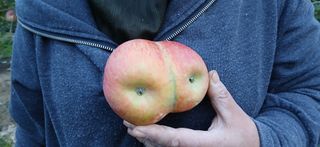 강동민님의 자유주제 · 자유게시판 작성글 사진