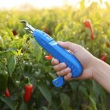 팜모닝 · 게시글 이미지