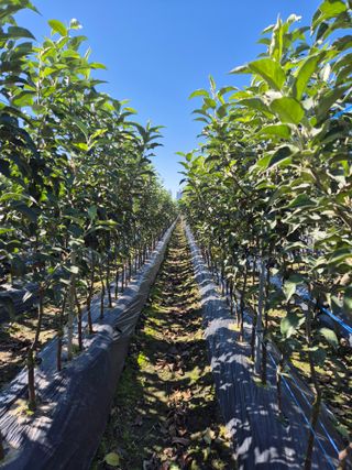 우리농원님의 자유주제 · 자유게시판 작성글 사진