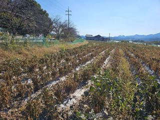 녹우농장님의 자유주제 · 자유게시판 작성글 사진