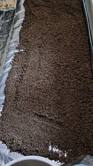 한밭농원님의 자유주제 · 자유게시판 작성글 사진