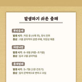 누보농장님의 자유주제 · 자유게시판 작성글 사진