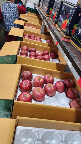 현등농원♡님의 작성글 사진